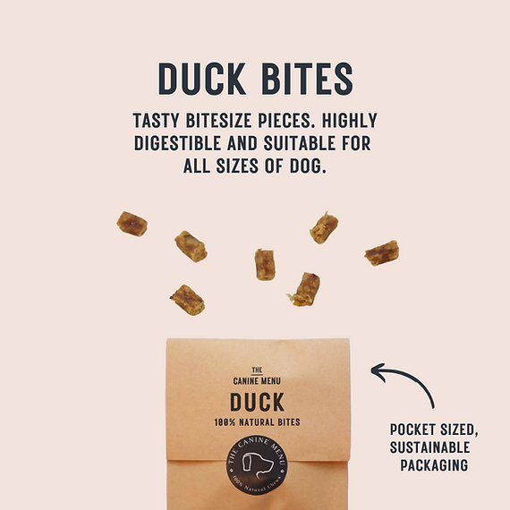 Duck Natural Dog Treats